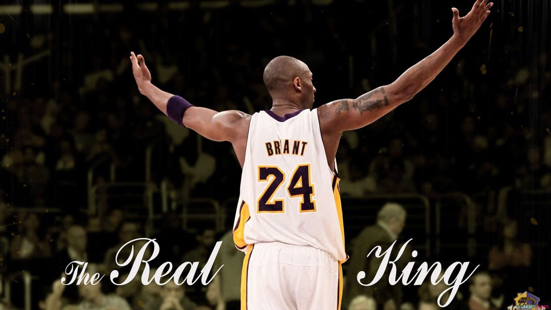 76人安排团队心理沙龙增强球员抗压能力，76人组合