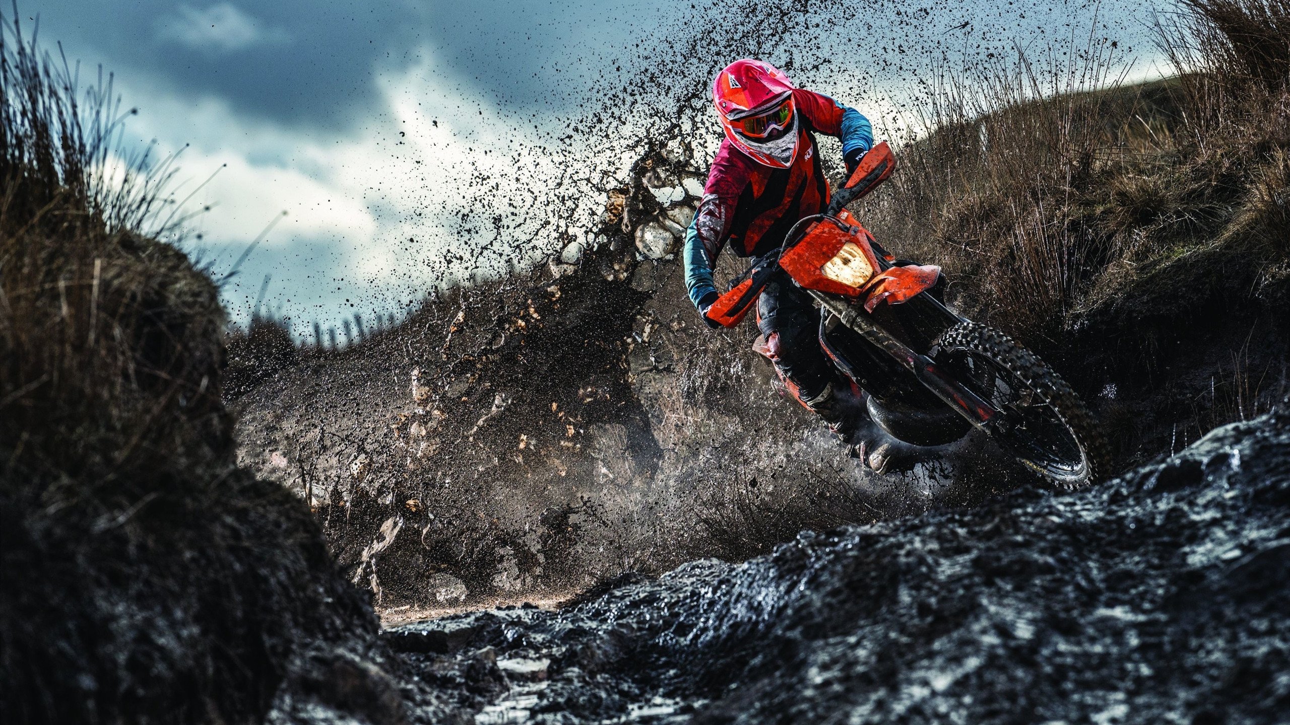 开云娱乐-“美洲狮队在橄榄球冠军赛中的惊艳表现”